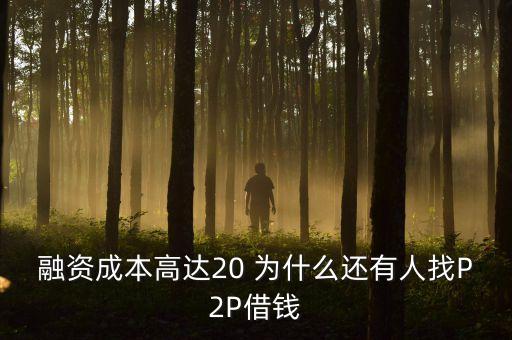 融資成本高達(dá)20 為什么還有人找P2P借錢