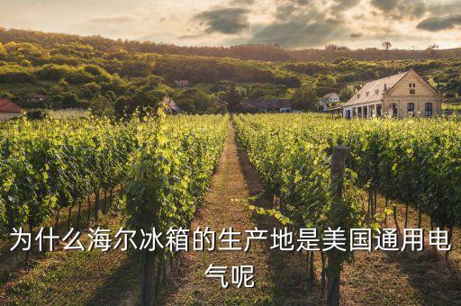 為什么海爾冰箱的生產(chǎn)地是美國通用電氣呢