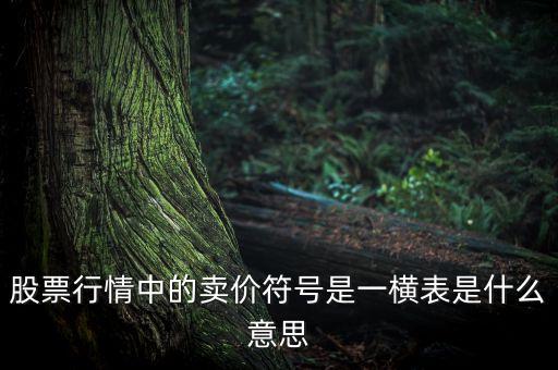 股票一橫是什么意思，股票下午3點開顯示一橫是什么意思