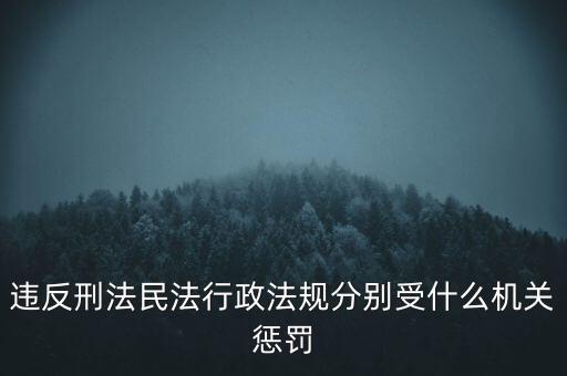觸犯刑法由什么部門，違反刑法三百四十二條應(yīng)向哪個(gè)部門報(bào)案