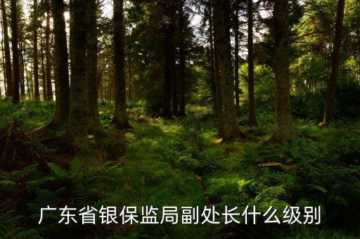 銀監(jiān)會副處長什么級別，銀行市分行財務(wù)處處長的問題謝謝