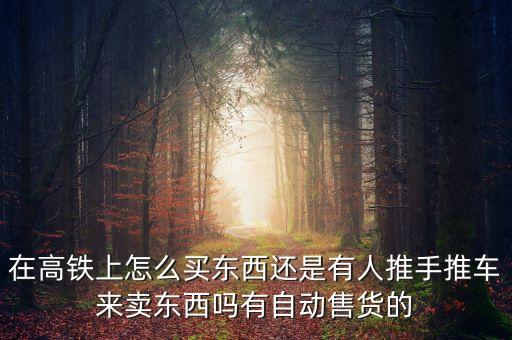 在高鐵上怎么買(mǎi)東西還是有人推手推車(chē)來(lái)賣(mài)東西嗎有自動(dòng)售貨的