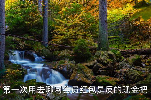 第一次用去哪網(wǎng)會員紅包是反的現(xiàn)金把
