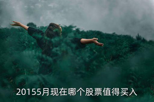 20155月現(xiàn)在哪個股票值得買入