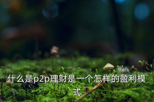 什么是p2p理財(cái)是一個(gè)怎樣的盈利模式