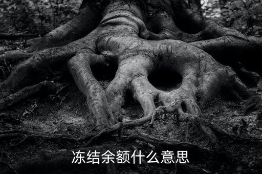 建設(shè)銀行凍結(jié)余額是什么意思，凍結(jié)余額什么意思