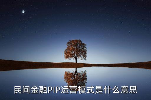 民間金融PIP運(yùn)營模式是什么意思
