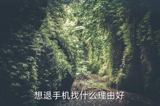 什么理由手機(jī)可以退貨，手機(jī)想退貨是不是需要什么理由才能退呀