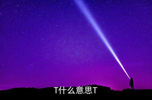 T什么意思T