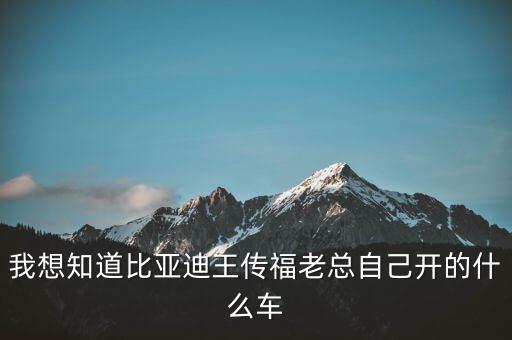 我想知道比亞迪王傳福老總自己開的什么車