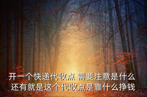 開(kāi)一個(gè)快遞代收點(diǎn) 需要注意是什么 還有就是這個(gè)代收點(diǎn)是靠什么掙錢(qián)