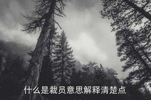 什么是裁員意思解釋清楚點(diǎn)