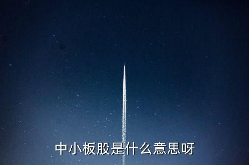 中小板股是什么意思呀