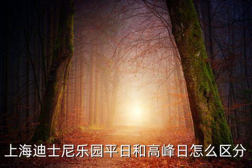 上海迪士尼開幕首日有什么區(qū)別，上海迪士尼樂園平日和高峰日怎么區(qū)分