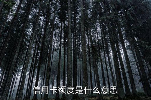信用卡額度是什么，信用卡的參考額度是什么意思