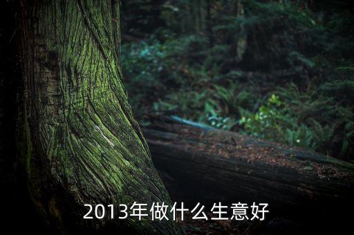 十三五做什么生意好，2013年做什么生意好