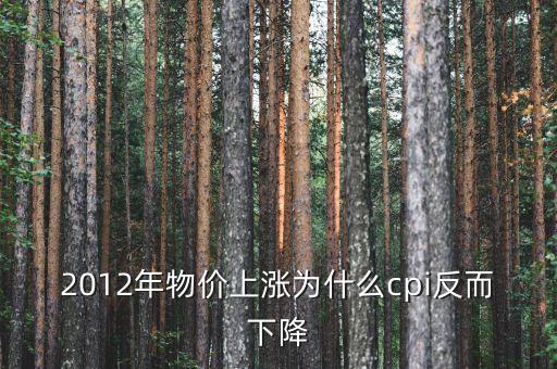 2012年什么原因導致CPI下降，描述繪制2012年19月我國CPI走勢并解析波動的原因