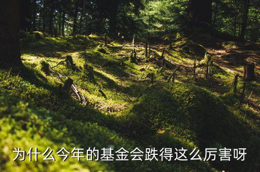 南嶺民爆為什么這么跌，我139進的南嶺民爆現(xiàn)在22塊多了還能繼續(xù)拿著么