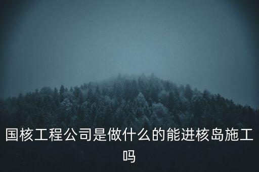國核工程公司是做什么的能進核島施工嗎