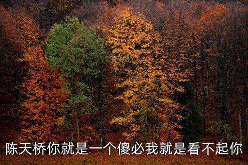 陳天橋?yàn)槭裁?，陳天橋你就是一個(gè)傻必我就是看不起你