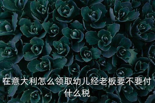 什么是意大利老板稅，在意大利怎么領(lǐng)取幼兒經(jīng)老板要不要付什么稅