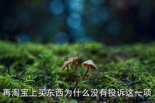 為什么消費(fèi)者網(wǎng)購不維權(quán)，再淘寶上買東西為什么沒有投訴這一項(xiàng)
