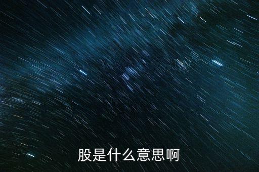 股是什么意思啊