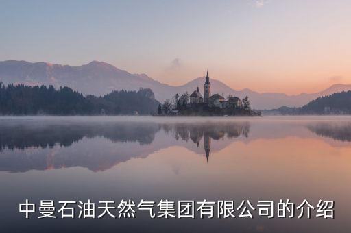 上海有什么天然氣能源公司，中曼石油天然氣集團(tuán)有限公司的介紹