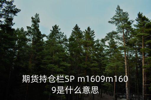 期貨持倉欄SP m1609m1609是什么意思