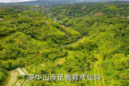羅牛山涉足教育產(chǎn)業(yè)嗎