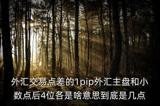 金融pip是什么意思，獲利點數pip在外匯市場是指什么意思是百分之多少嗎謝謝