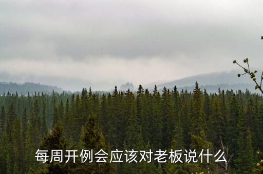 每周開(kāi)例會(huì)應(yīng)該對(duì)老板說(shuō)什么