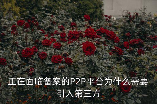 正在面臨備案的P2P平臺(tái)為什么需要引入第三方