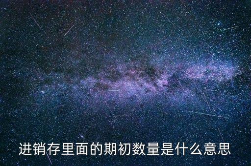 進銷存里面的期初數(shù)量是什么意思