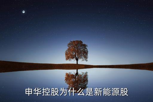 申華控股主要經(jīng)營什么，申華控股主要經(jīng)營項目