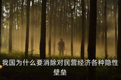 我國為什么要消除對民營經(jīng)濟各種隱性壁壘