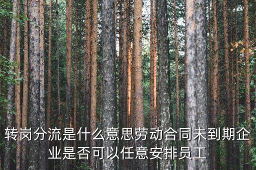 職工分流什么意思，單位人員分流是什么意思