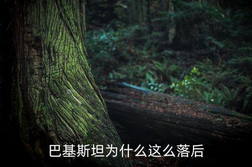 巴基斯坦為什么這么窮，八十年代的巴基斯坦富裕嗎