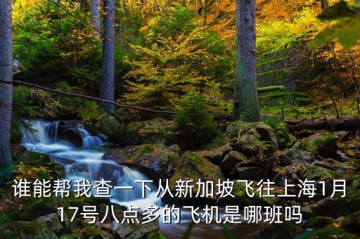 誰能幫我查一下從新加坡飛往上海1月17號八點多的飛機是哪班嗎