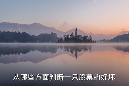 從哪些方面判斷一只股票的好壞
