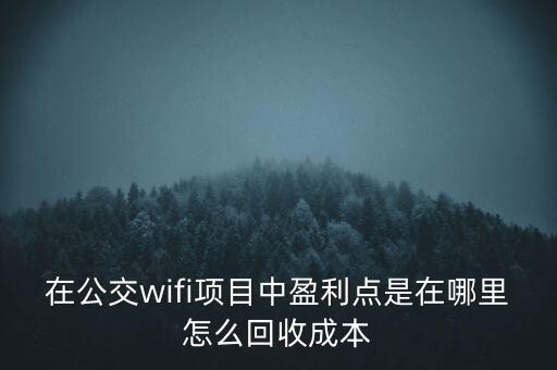 公交車的wifi靠什么掙錢，在公交wifi項目中盈利點是在哪里怎么回收成本