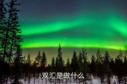 雙匯是做什么