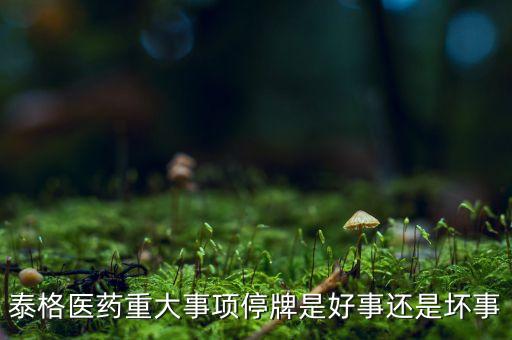 泰格醫(yī)藥重大事項停牌是好事還是壞事