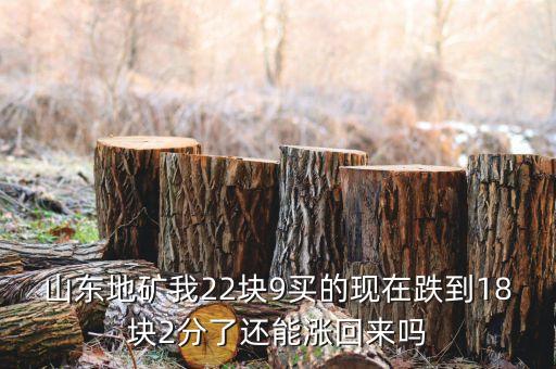 山東地礦我22塊9買的現(xiàn)在跌到18塊2分了還能漲回來嗎