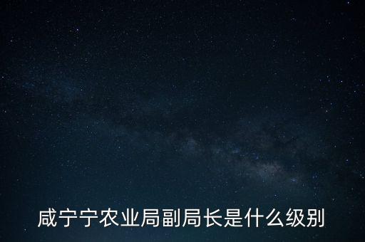 趙建澤是什么級別，中石化等大型國企老總是什么級別