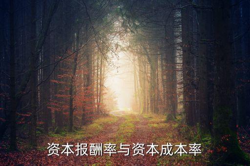 什么是資產(chǎn)報酬率，資本報酬率與資本成本率