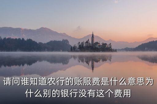 什么是三農(nóng)客戶小額賬戶服務費，請問誰知道農(nóng)行的賬服費是什么意思為什么別的銀行沒有這個費用
