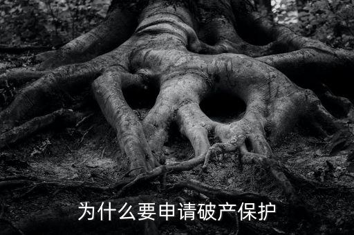 為什么要申請(qǐng)破產(chǎn)保護(hù)