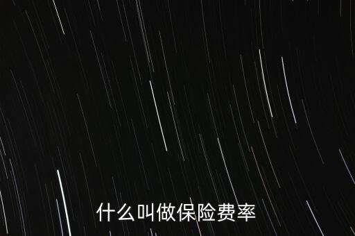 什么是擔(dān)保費率，什么叫做保險費率
