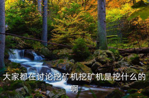 大家都在討論挖礦機(jī)挖礦機(jī)是挖什么的啊